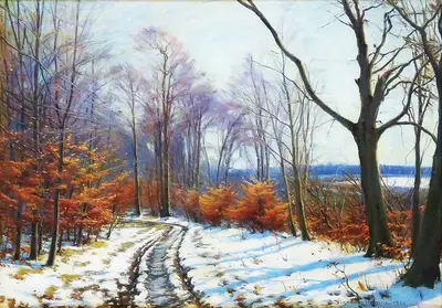Зимний лес
