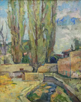 Кипарисы