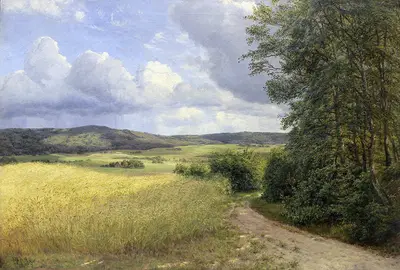 Поле на окраине леса (Силькеборг Вестерсков, вид с Фундер Бакке)